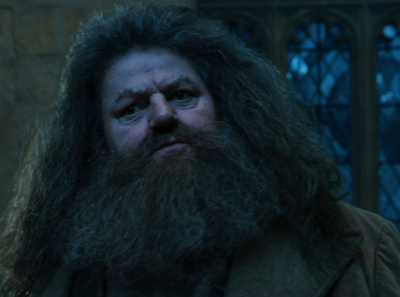 Hagrid HPATGOF - Edited.png