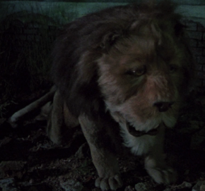 Cowardly Lion 2 - Edited.png