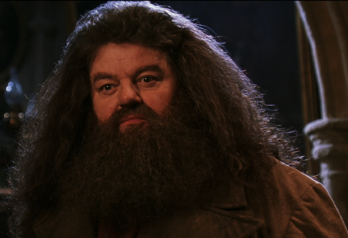 Hagrid TCOS - Edited.png