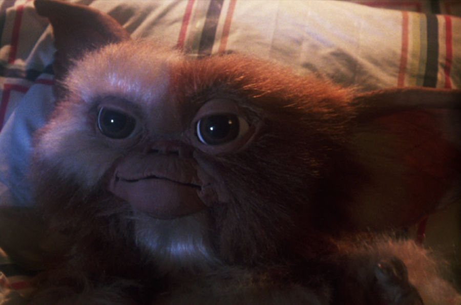 original gizmo teddy